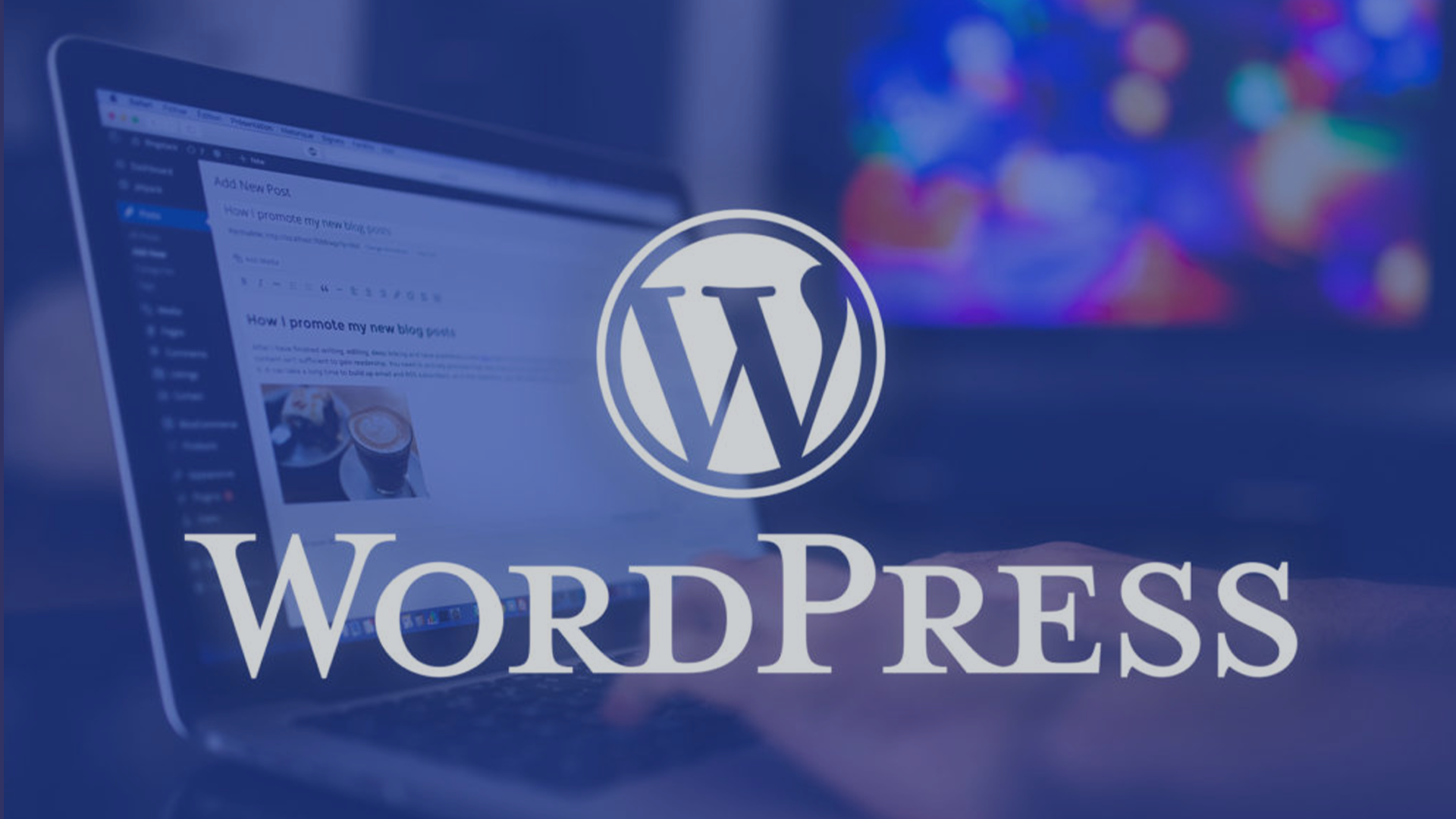 Module de formation Auttomatic WordPress pour demandeur d'emploi à Liège